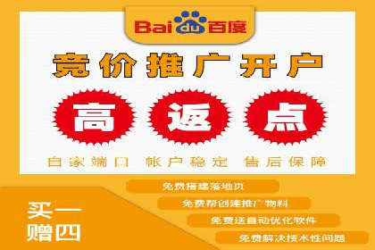 搜索引擎优化（SEO）在百度上的应用案例研究